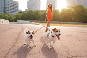 Double Dog Leash