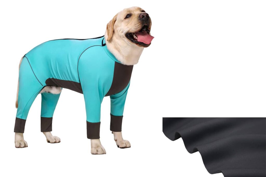 Neoprene Dog Clothes