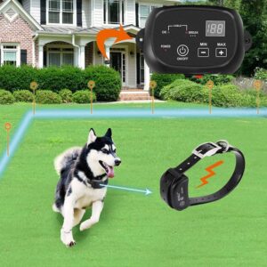 Dog Tracking Collars