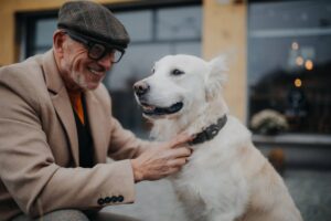 Fashion Dog Collars