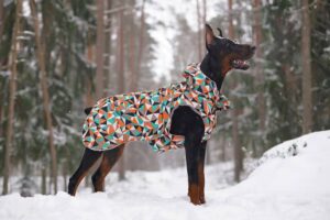 Perfect Dog Coat Manufacturer