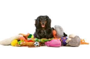 Durable Dog Toys