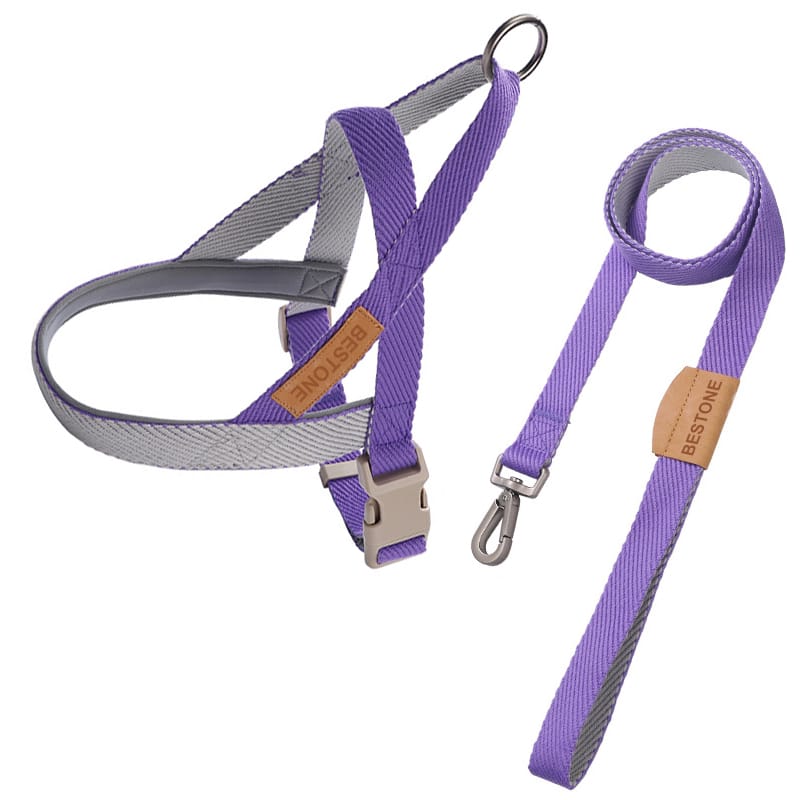 Dog Leash Set