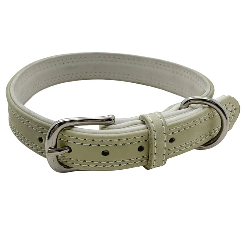 Buckle Collar