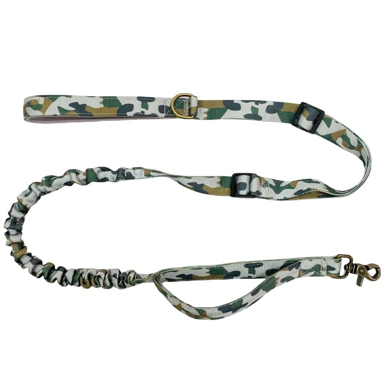Standard strong dog leash