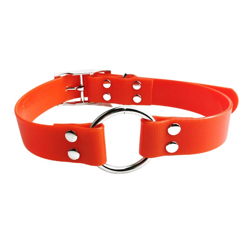 Dog Collar Manufacturer