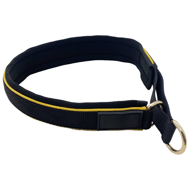 Dog Collar Manufacturer