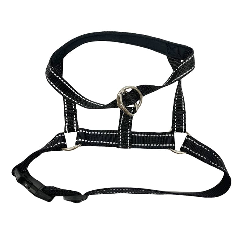Head Collar