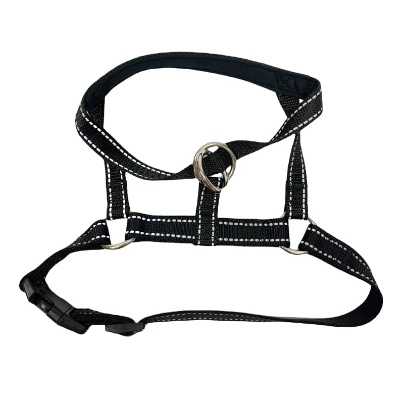 Dog Collar Manufacturer