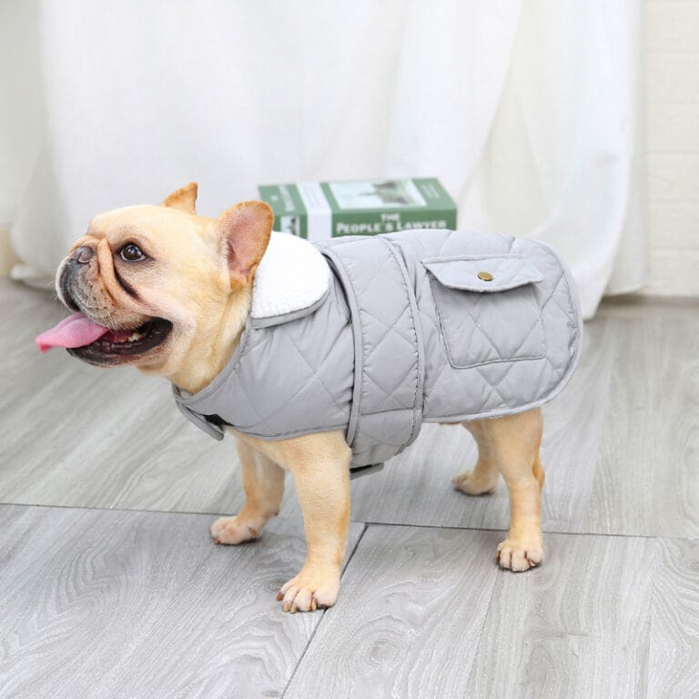 Dog Jacket