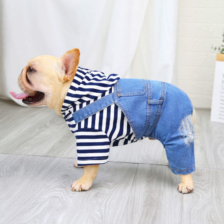 Dog Jeans