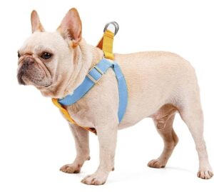 Dog Harnesses Washable,are dog harnesses machine washable,can you wash dog harnesses,how to wash dog harness,Dog Harnesses Machine Washable,The Truth About Dog Harnesses: Are They Machine Washable