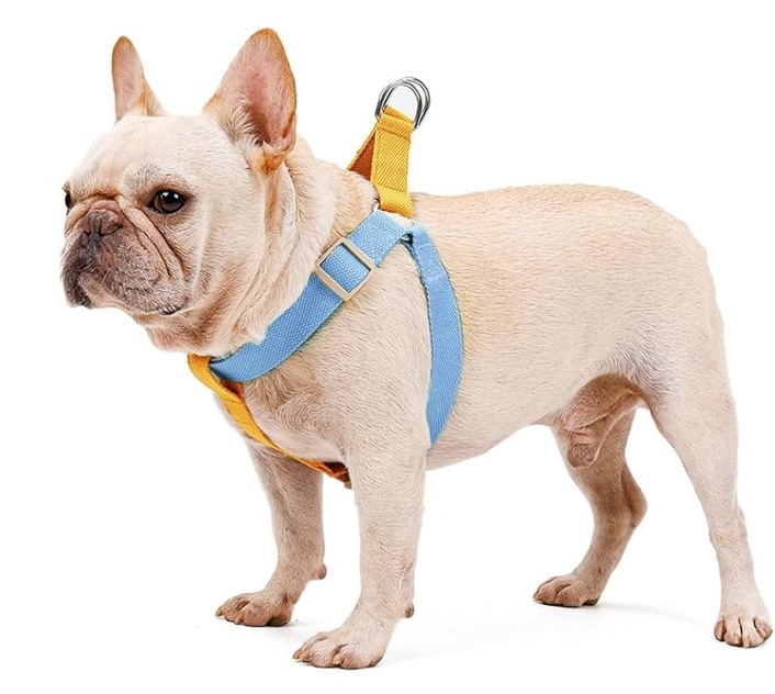 dog harness manufacture,dog harness manufacturer china,dog harness,How are dog harnesses manufactured