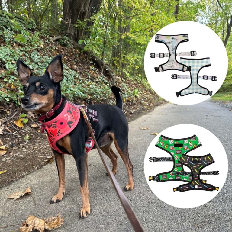 reversible dog harness