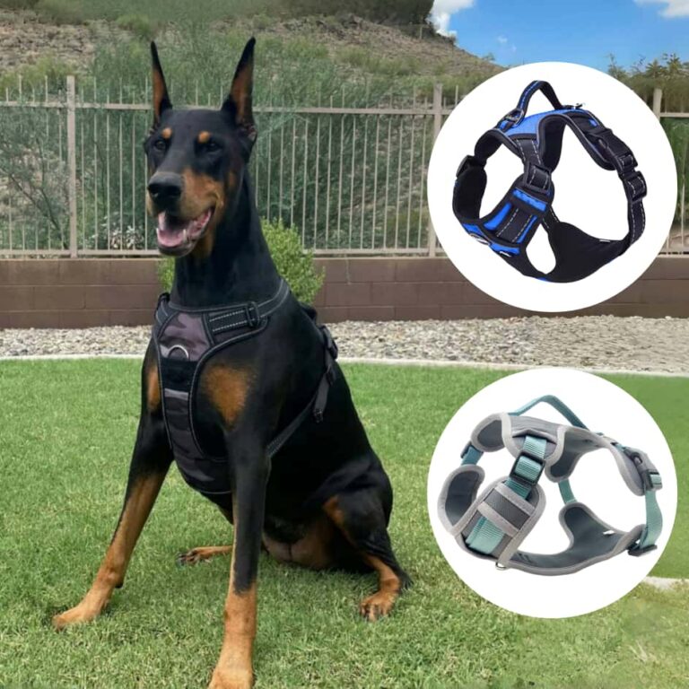 two piece style dog harness