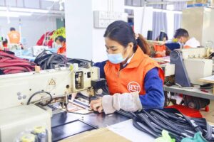 Top Dog Harness Manufacturers China