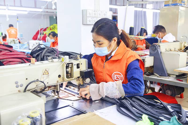 Pet supplies brand strategy,OEM vs white label pet products,private label pet industry trends 2025,custom dog harness manufacturer,pet product differentiation,build global pet brand,direct to consumer pet strategy,ODM pet manufacturing,eco-friendly pet supplies sourcing,escape OEM competition