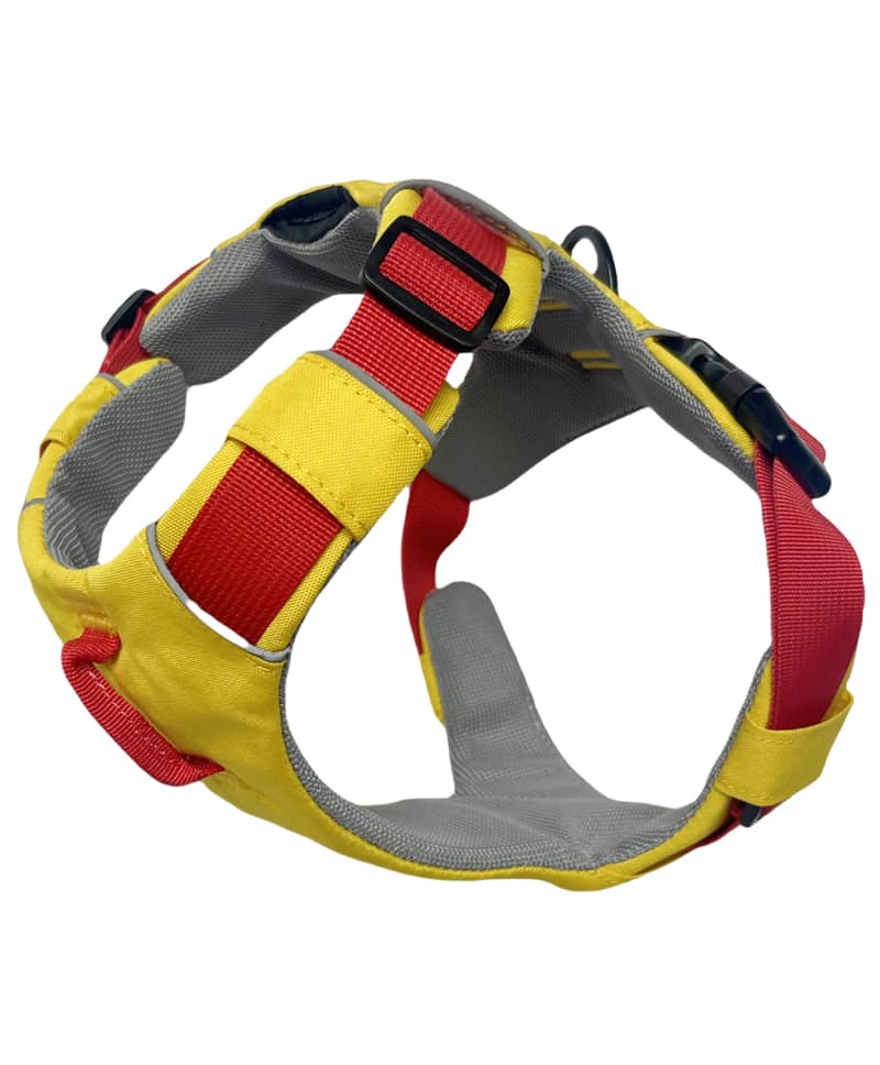 No-visible Stitching Harness