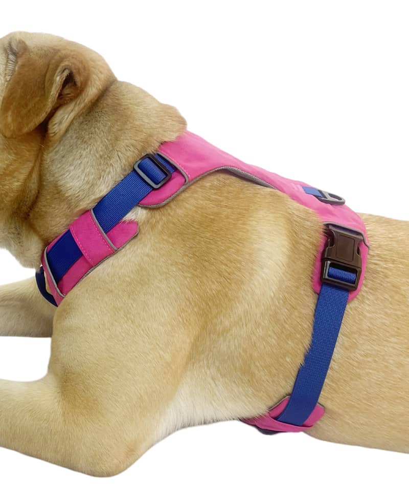 dog harness manufacture,dog harness manufacturer china,dog harness,How are dog harnesses manufactured