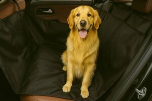 dog car seat cover