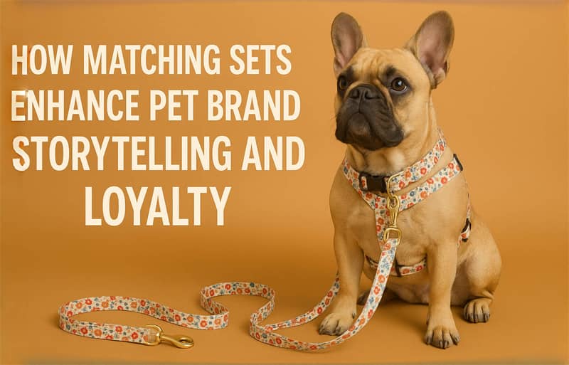 coordinated sets,pet brand storytelling